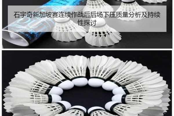 石宇奇新加坡赛连续作战后后场下压质量分析及持续性探讨